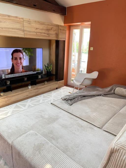 Apartment De Charme 80m2 Givors