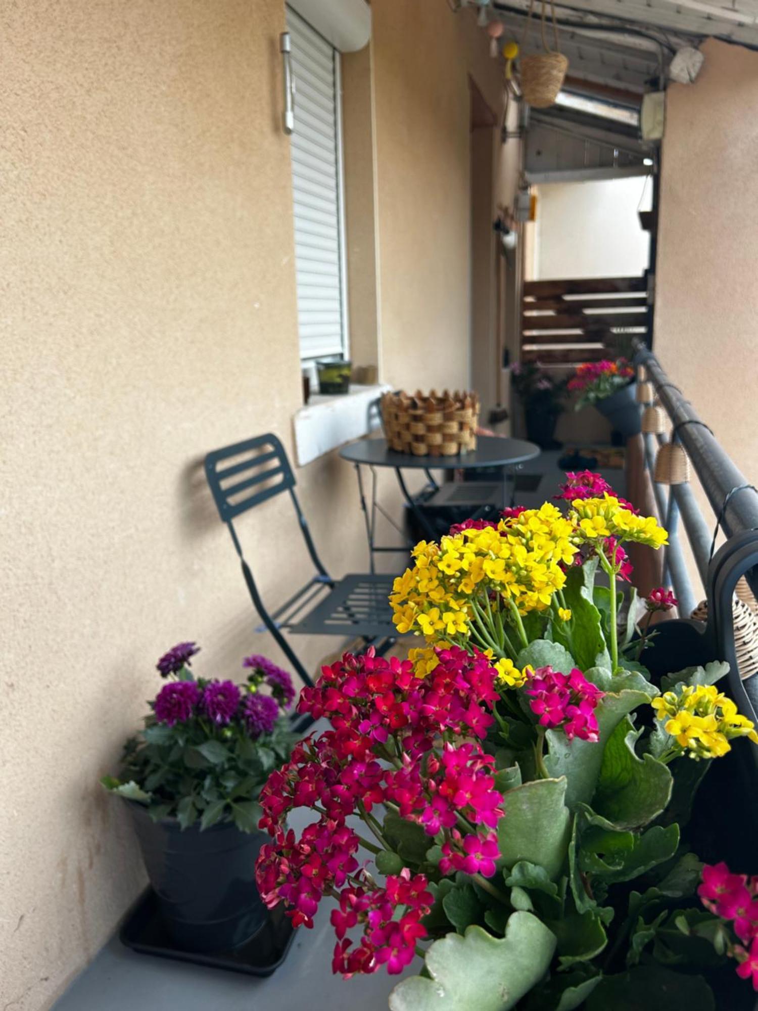 De Charme 80m2 Apartamento *
